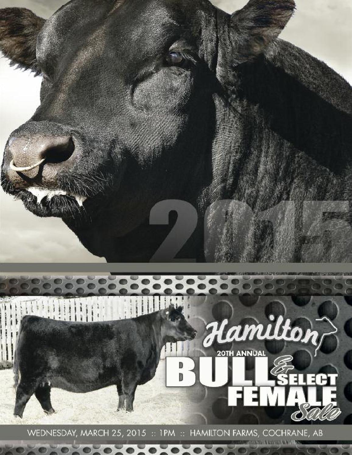 Hamilton Farms 20th Annual Bull & Select Female Sale by Canadian Angus