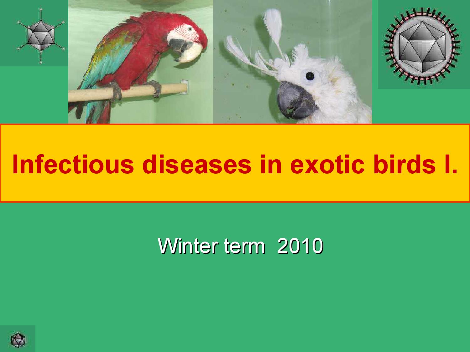 Infectious diseases in exotic birds i by Abohemeed Aly Issuu