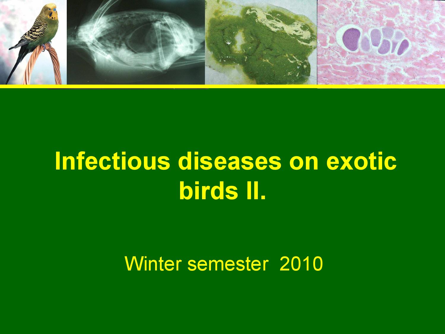 Infectious diseases on exotic birds ii by Abohemeed Aly Issuu