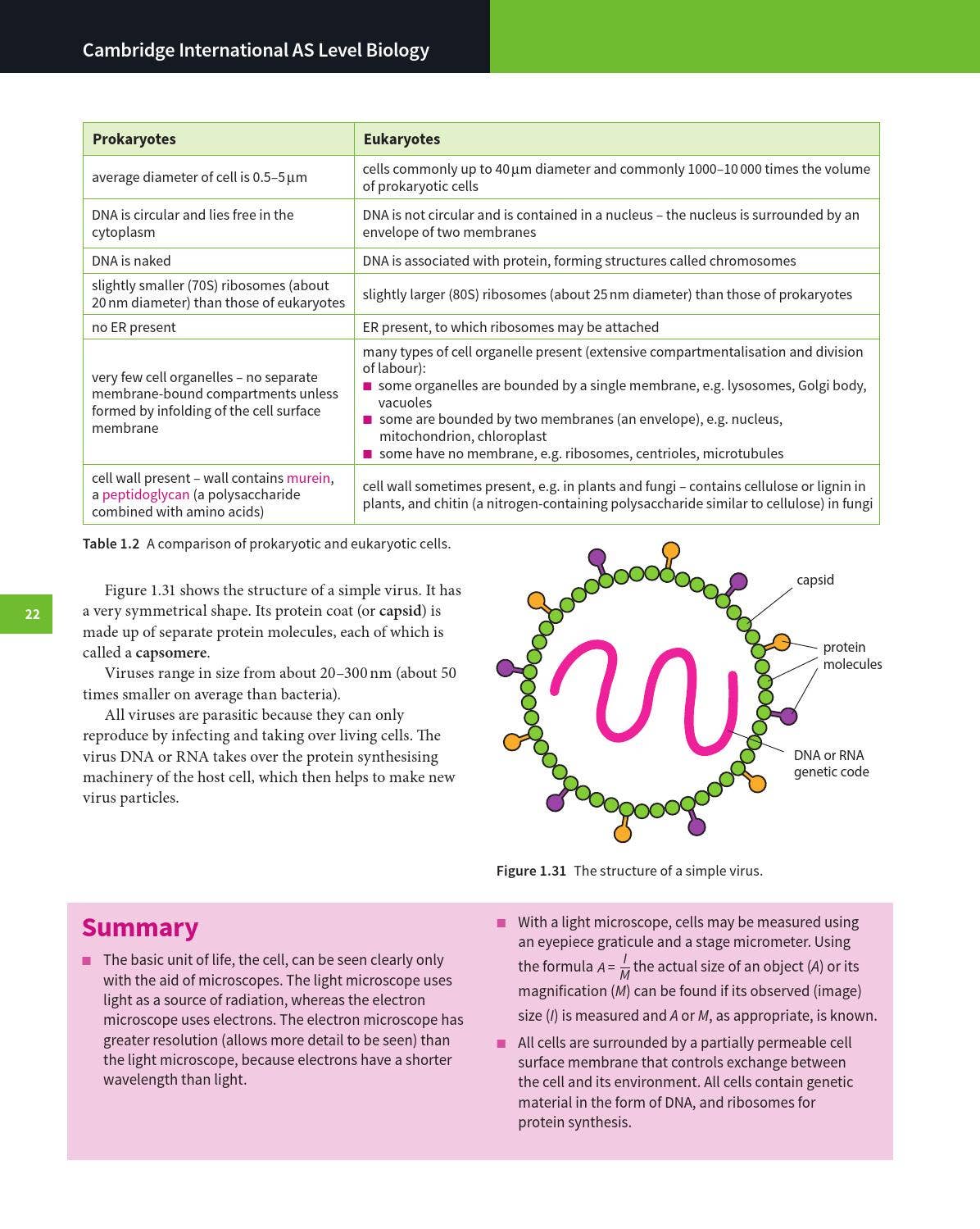 Cambridge International AS and A Level Biology Coursebook with CD-ROM ...