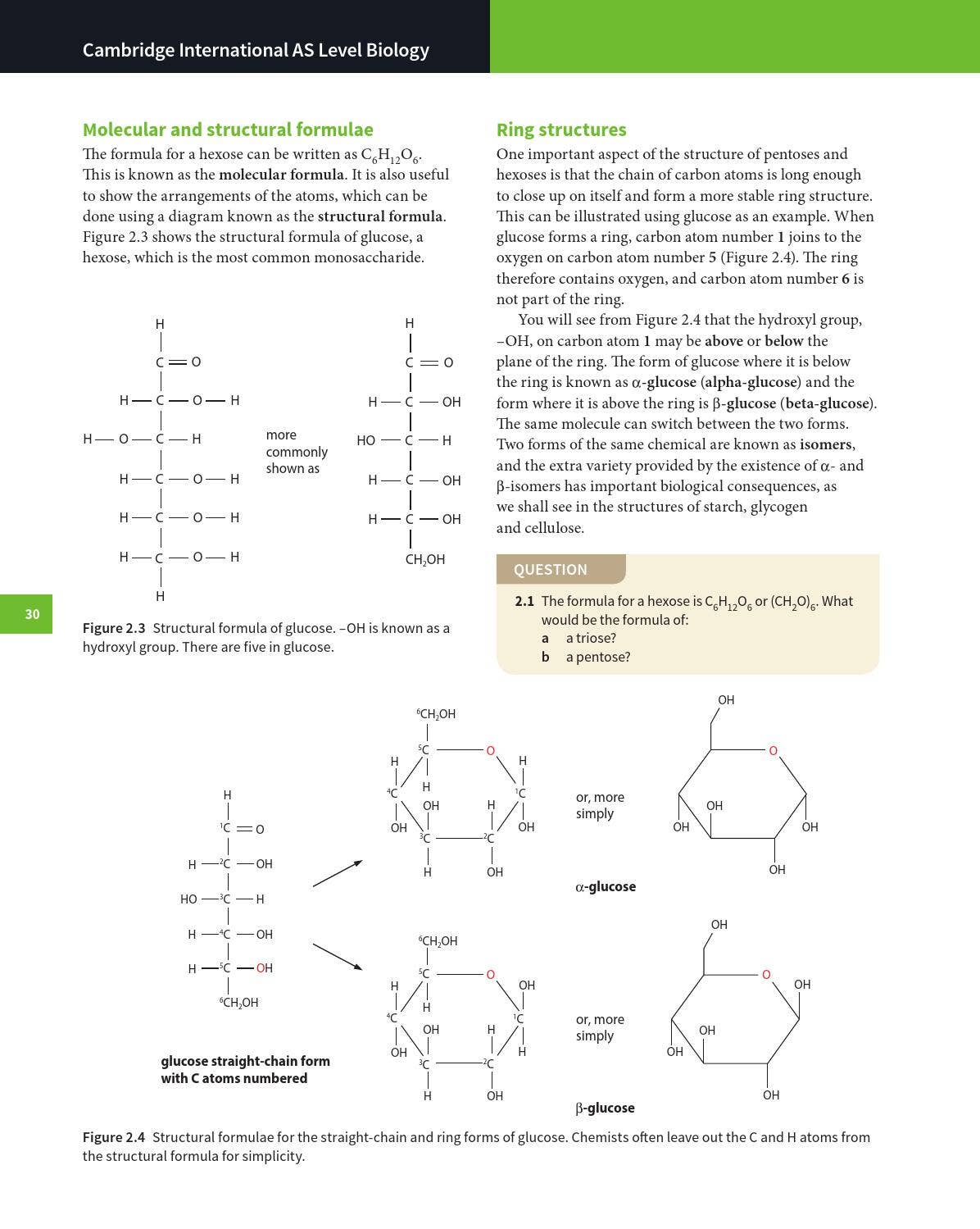 洋書 BIOCHEMISTRY Lippincott® Illustrated Reviews: Biochemistry by David S