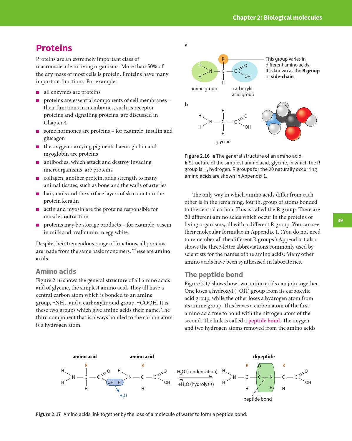 Cambridge International AS and A Level Biology Coursebook with CD-ROM ...