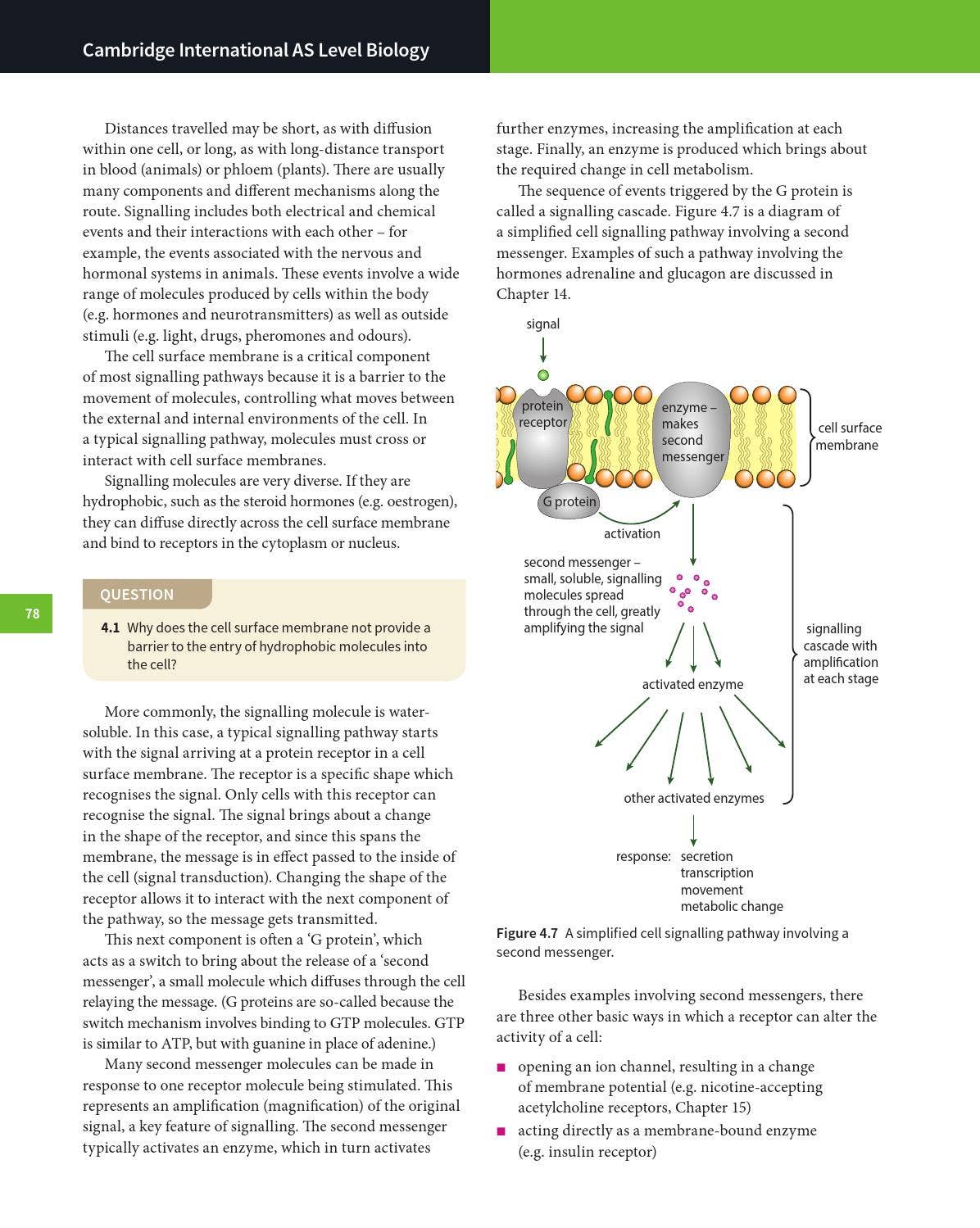 Cambridge International AS and A Level Biology Coursebook with CD-ROM ...
