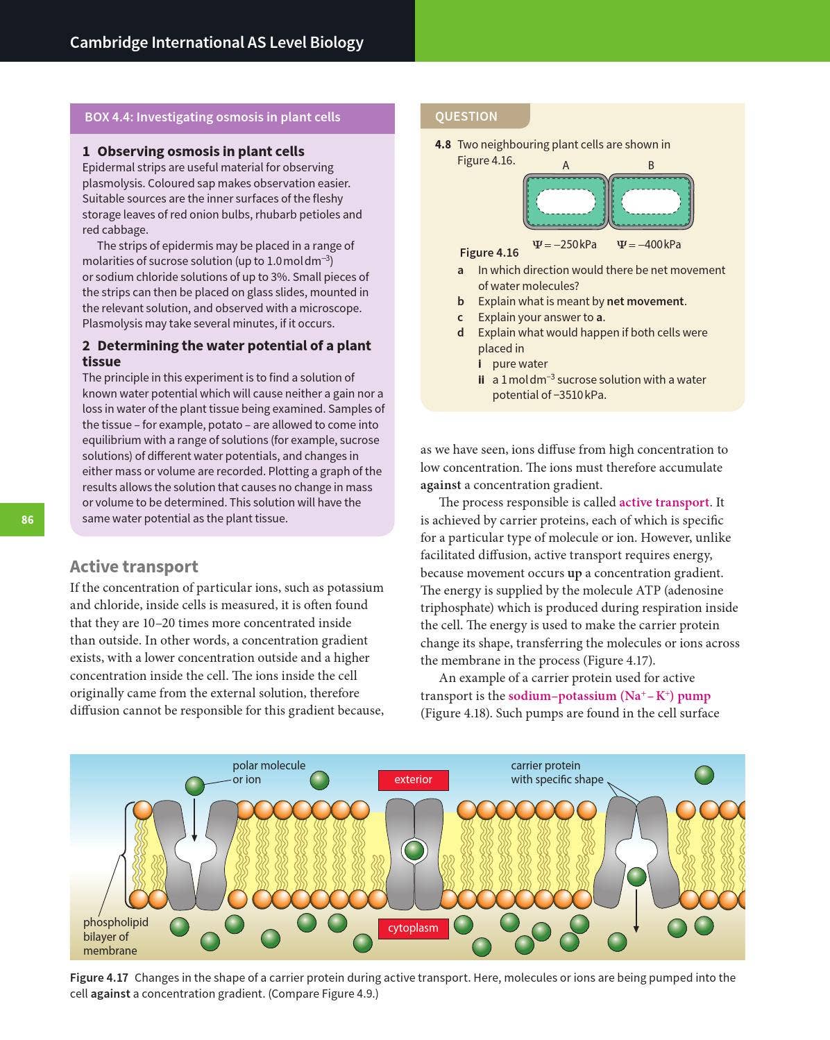Cambridge International AS and A Level Biology Coursebook with CD-ROM ...
