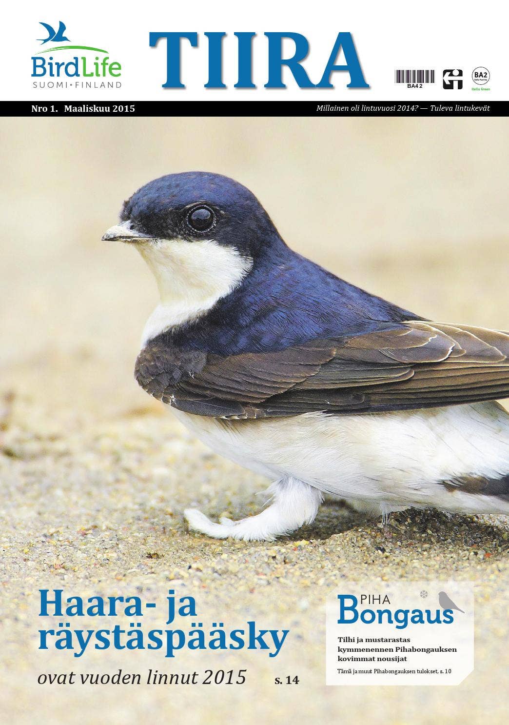 Tiira 1 2015 By BirdLife Suomi Issuu tiira-1-2015-by-birdlife-suomi-issuu