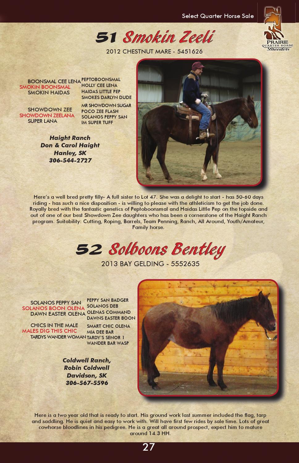Prairie Quarter Horse Breeders Select Quarter Horse Sale 2015 by Today