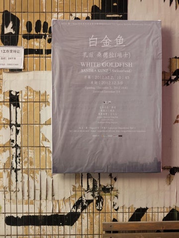 White Goldfish – Sandra Kunz 第 15 页