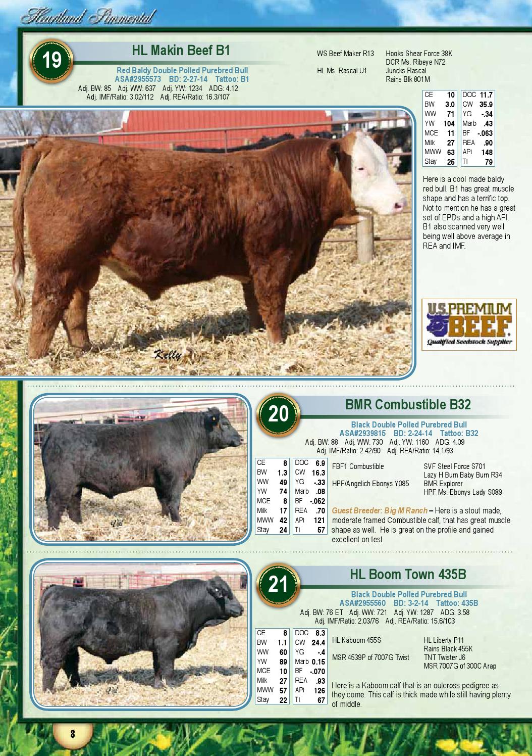 Heartland Simmental Sale Catalog 2015 by Eberspacher Enterprises Issuu