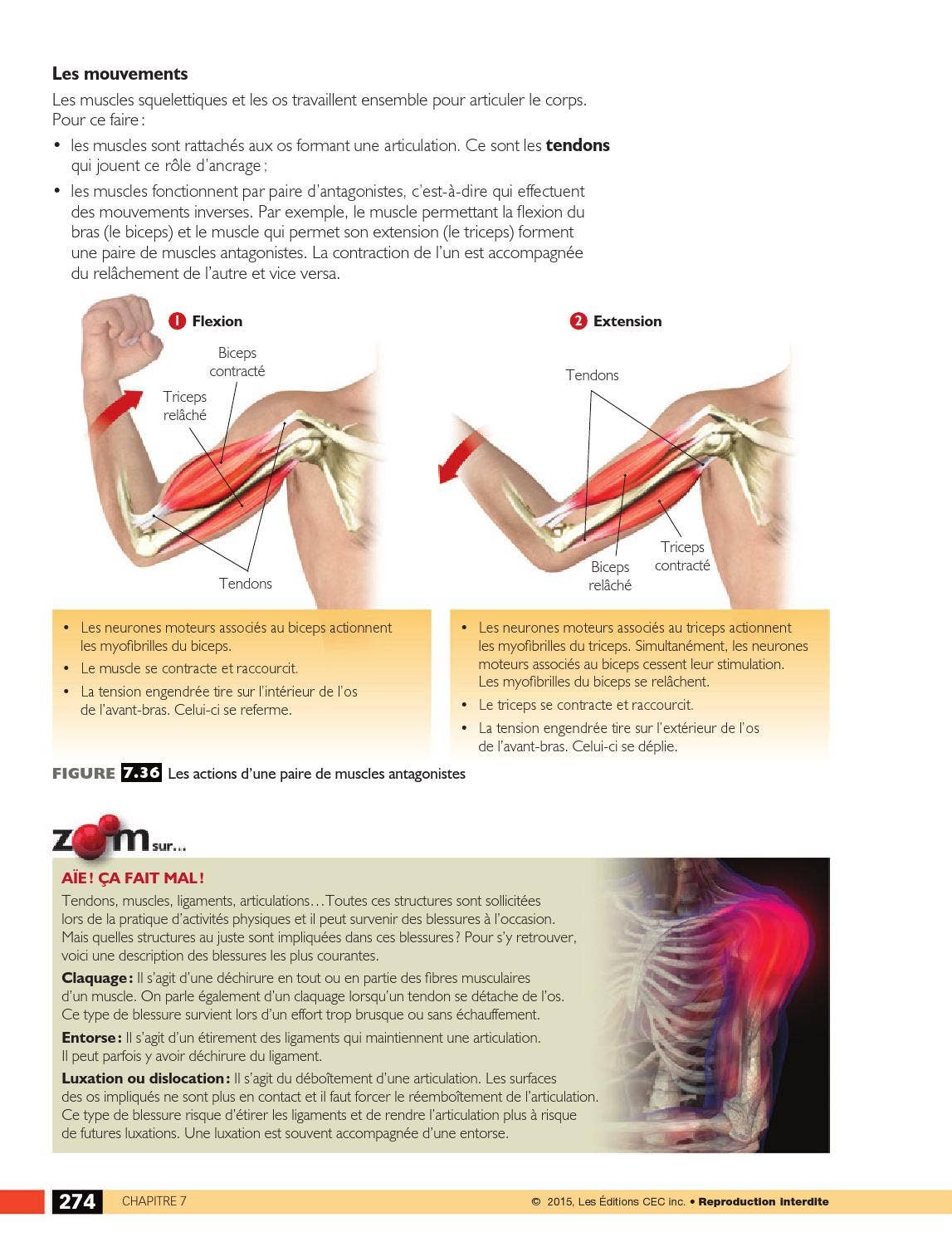 Systèmes by Les Éditions CEC - Issuu, image size:1147x1490