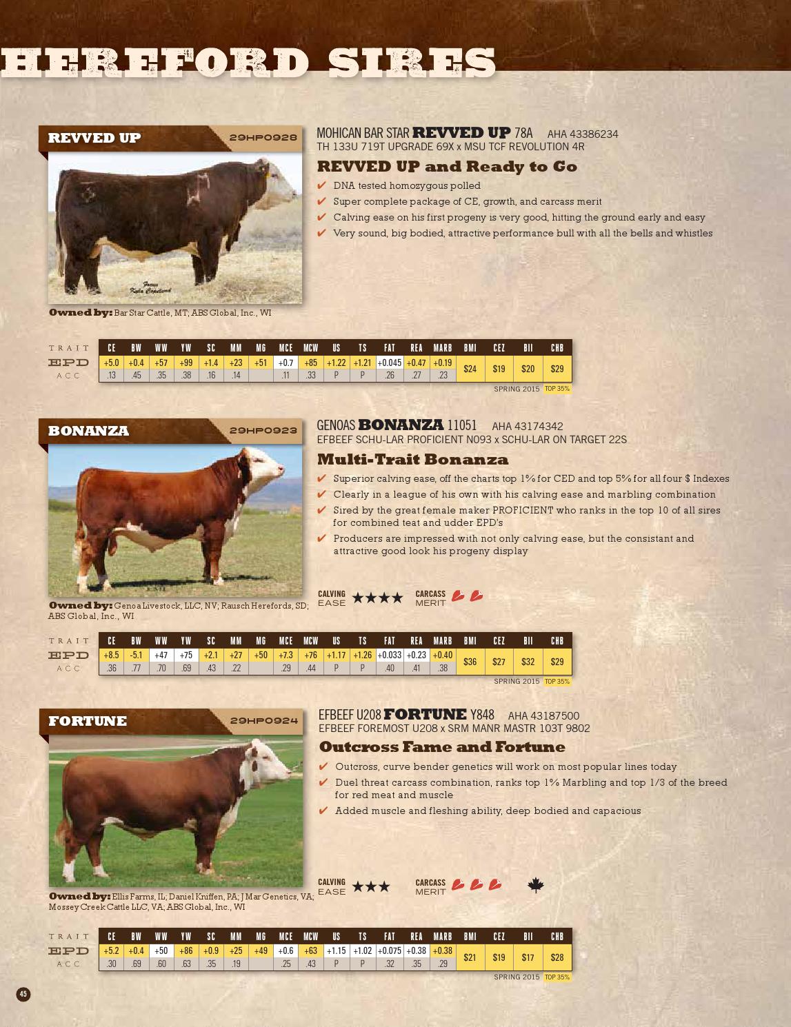 ABS Beef Focal Point Spring 2015 by ABS Global, Inc. Issuu