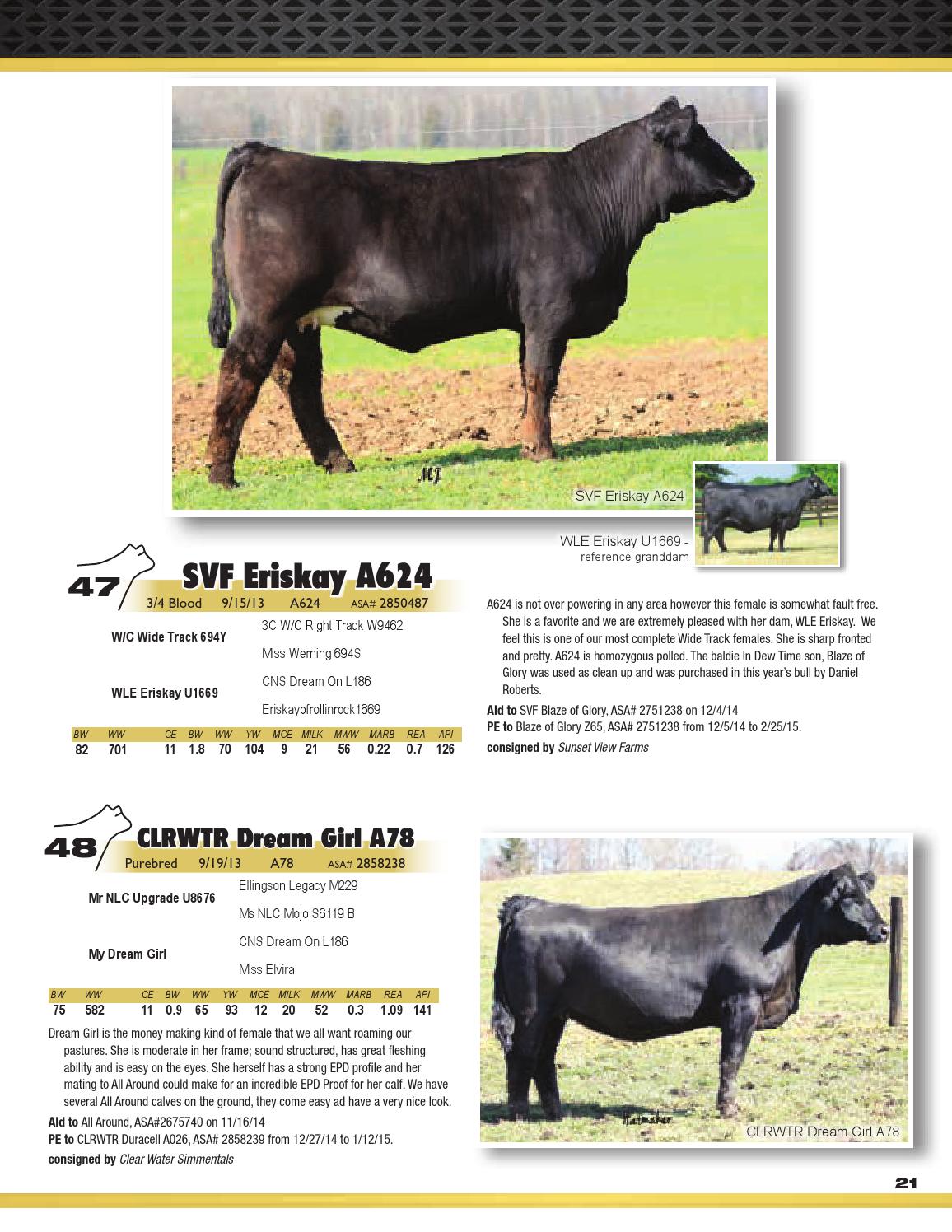 Family Traditions Female Sale 15 By Barbour Marketing Solutions Llc Issuu