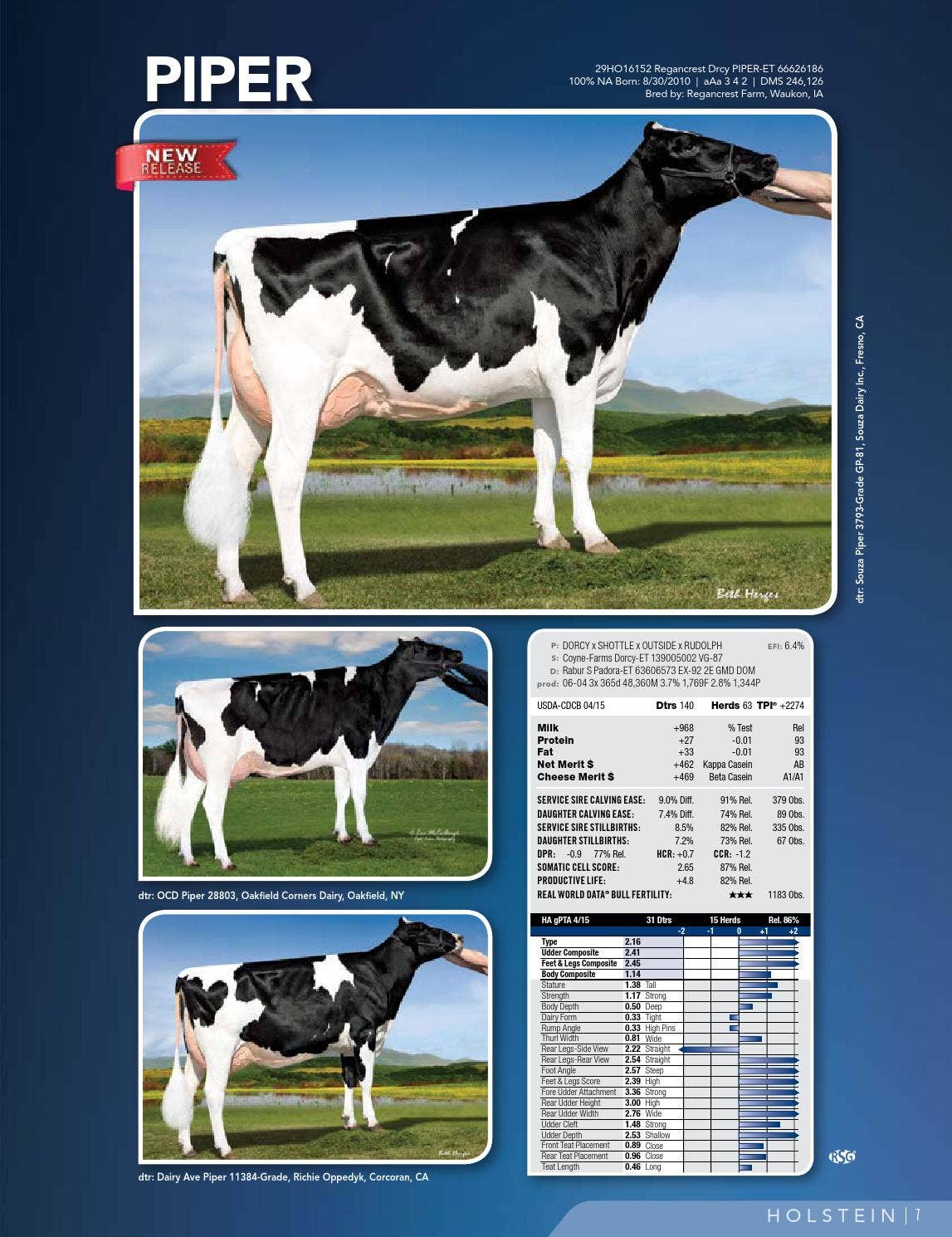 ABS Dairy Directory April 2015 by ABS Global, Inc. Issuu