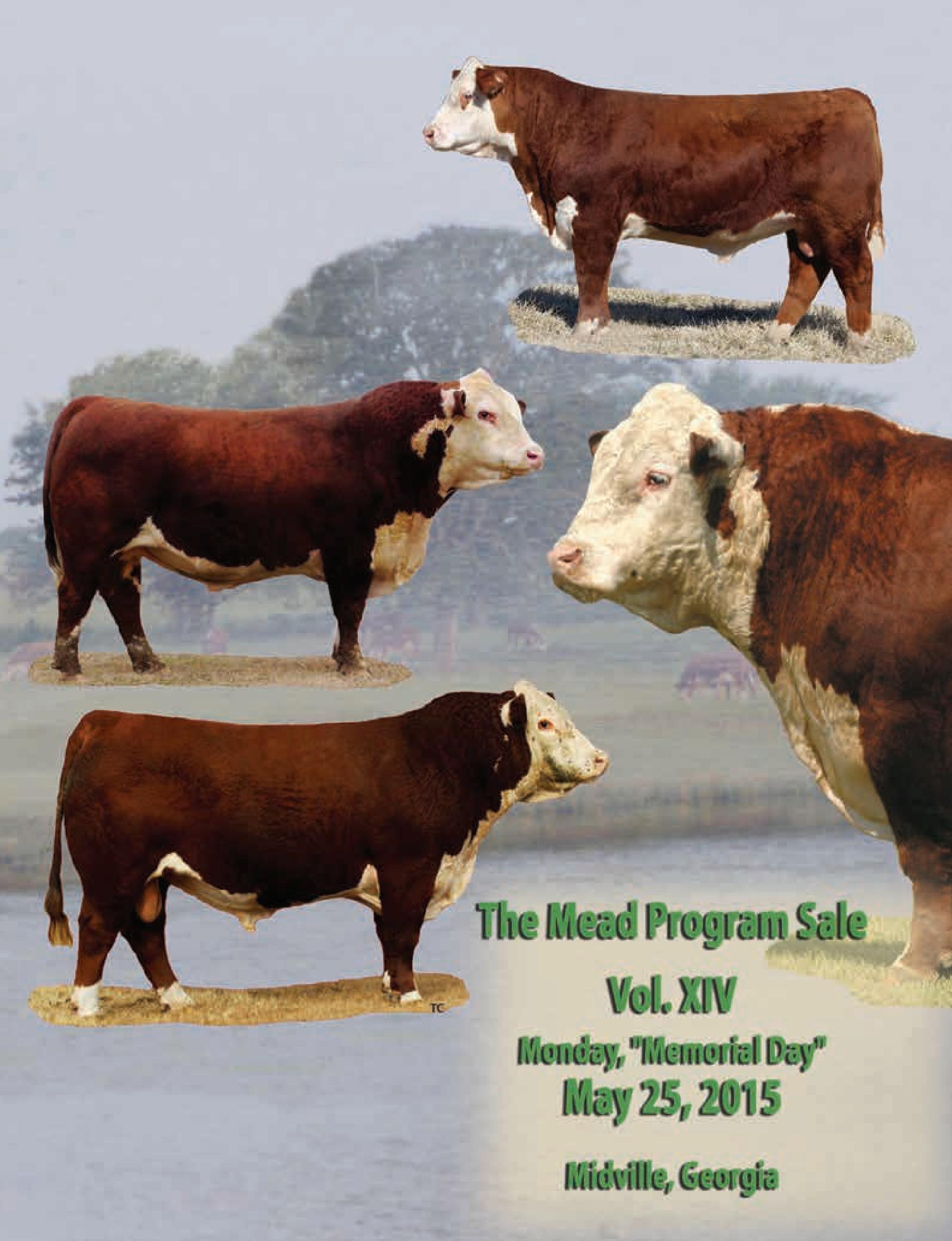 The Mead Program Sale XV by Cattle In Motion, LLC Issuu