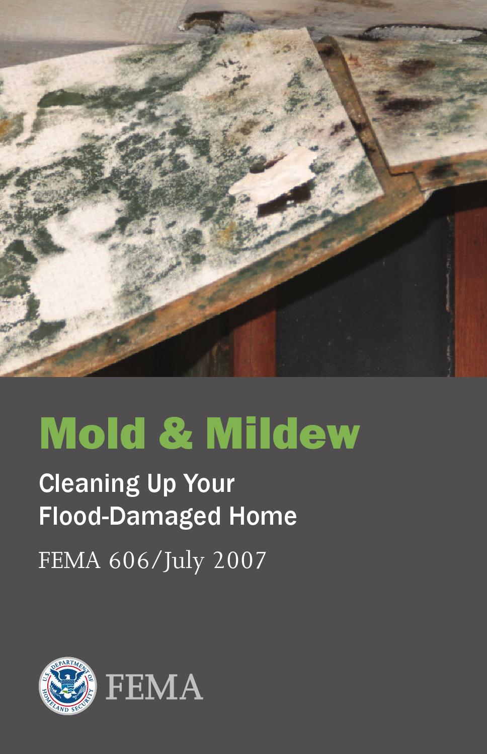 Mold & Mildew Cleaning Up Your FloodDamaged Home by Shawnee County