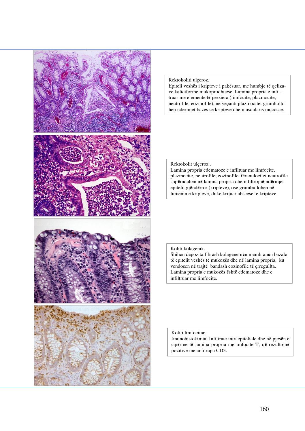 Imunohistokimia Ebook Download