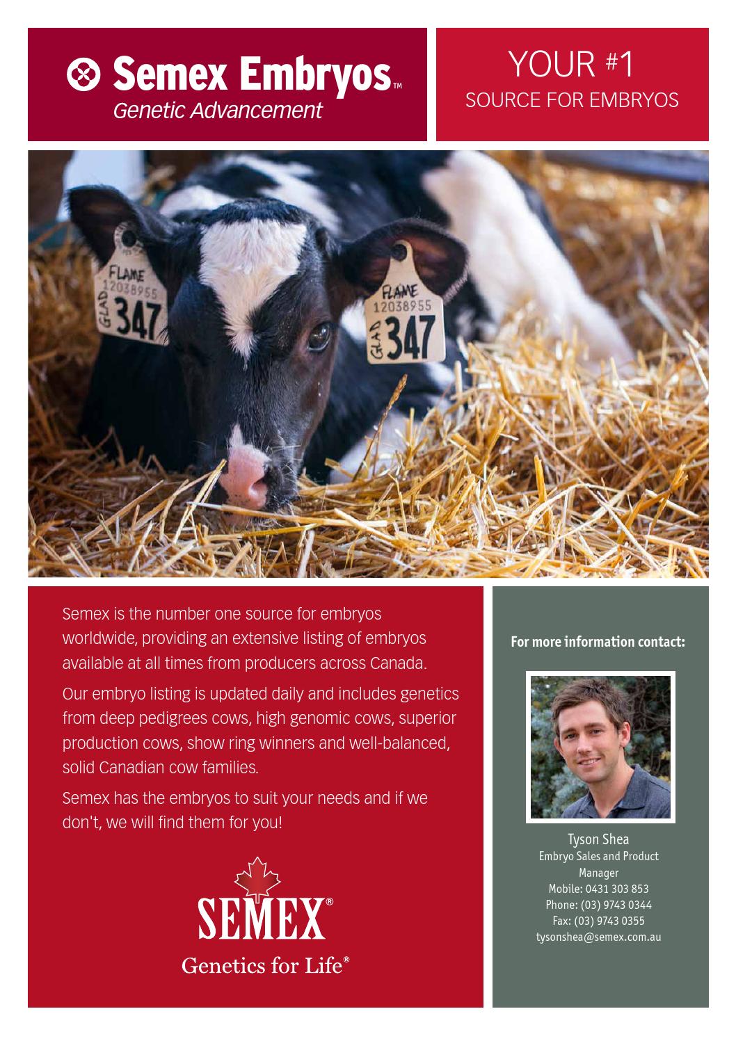 Jersey embryos australia Clearance