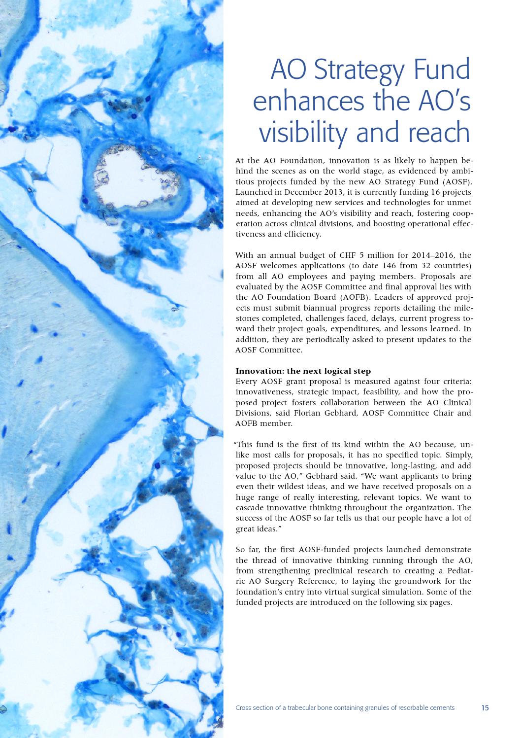 AO Foundation Annual Report 2014 by AO Foundation Issuu