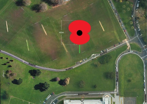Giant Poppy Art 工程 Proposal 第 7 页