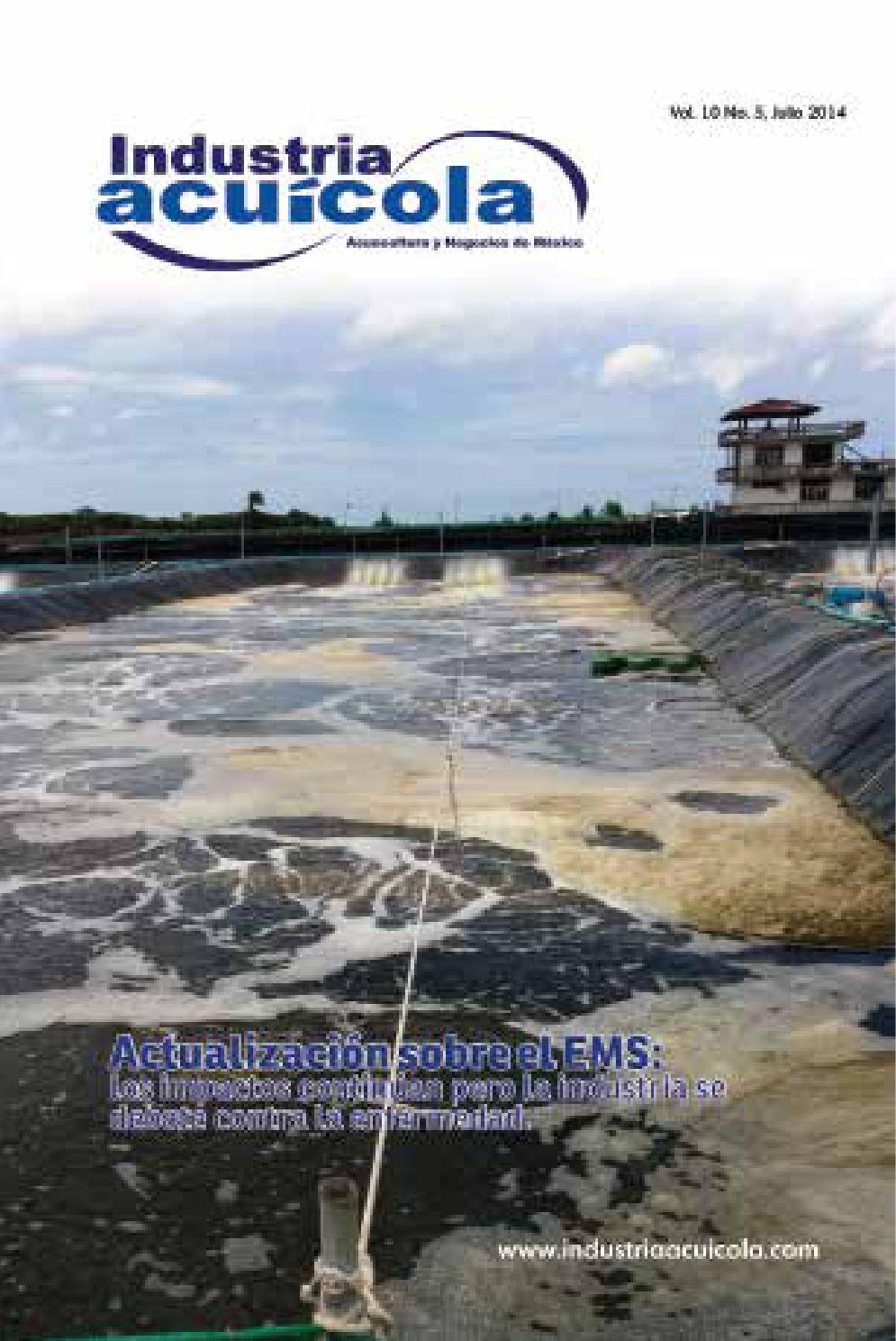 bacalao estuario diabetes juvenil