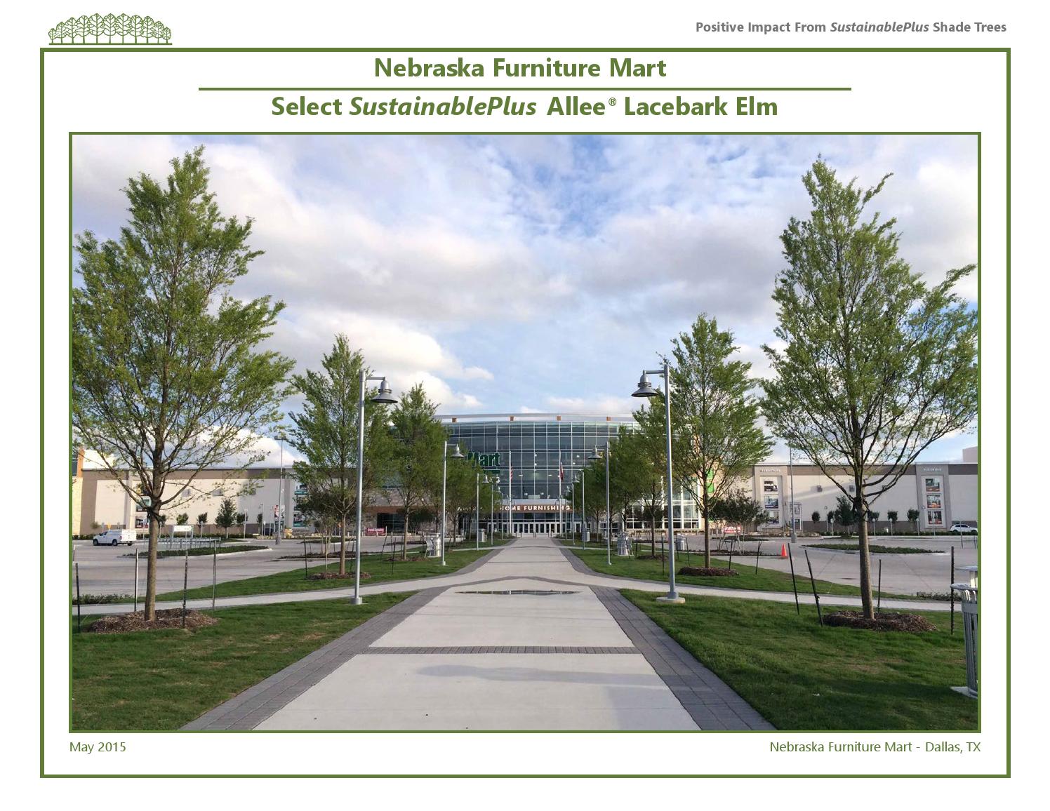 Nebraska Furniture Mart Select Trees by Select Trees Issuu