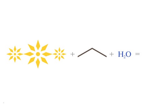 RIZA 酒店 logo 第 8 页