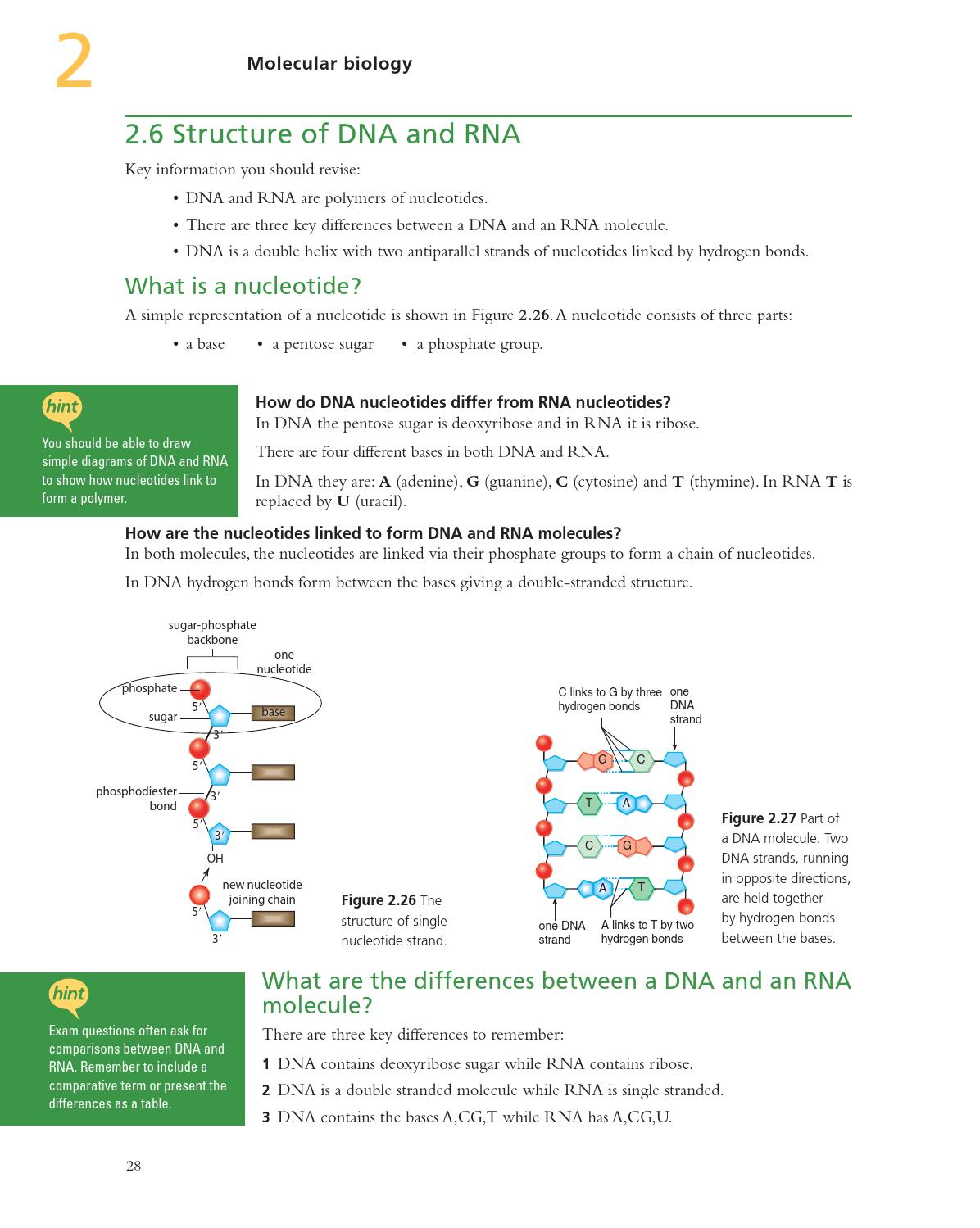 preview biology for the ib diploma exam