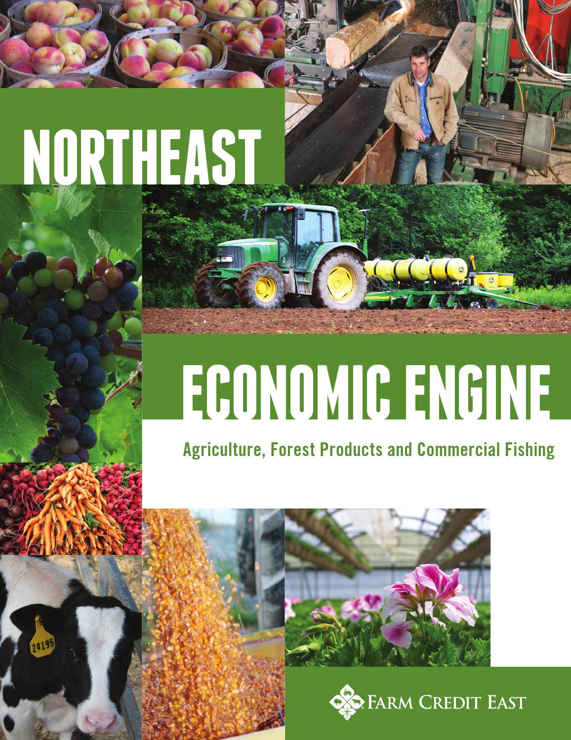 Northeast Economic Engine: Agriculture, Forest Products and Commercial ...
