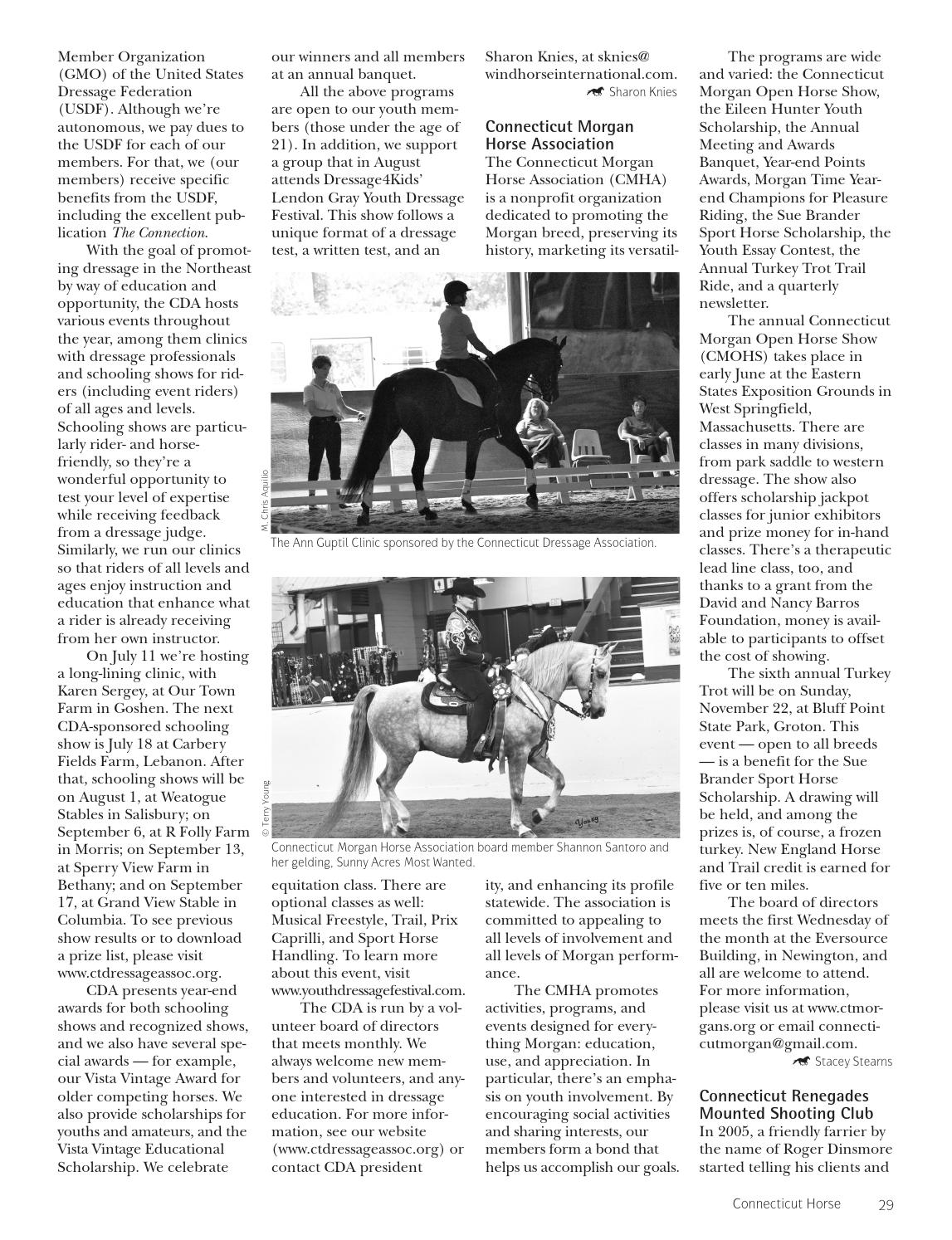 Dressagewrenegade stables in spanish Dressagewrenegade stables in spanish