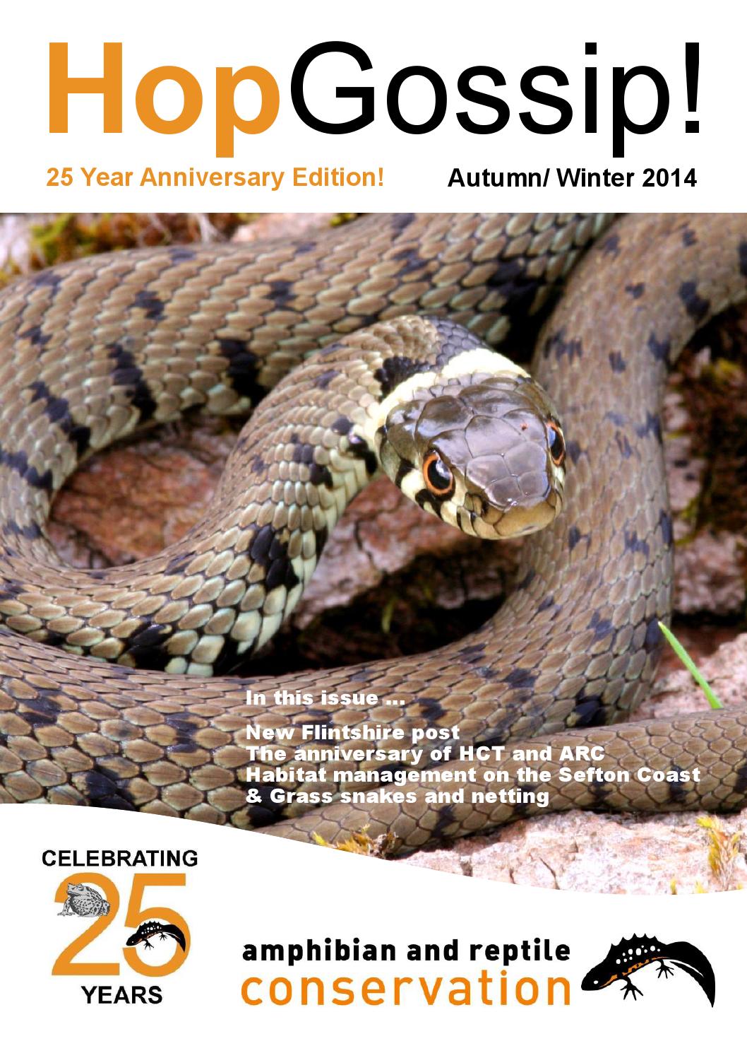 HopGossip! Autumn/Winter 2014 by Amphibian and Reptile Conservation - Issuu