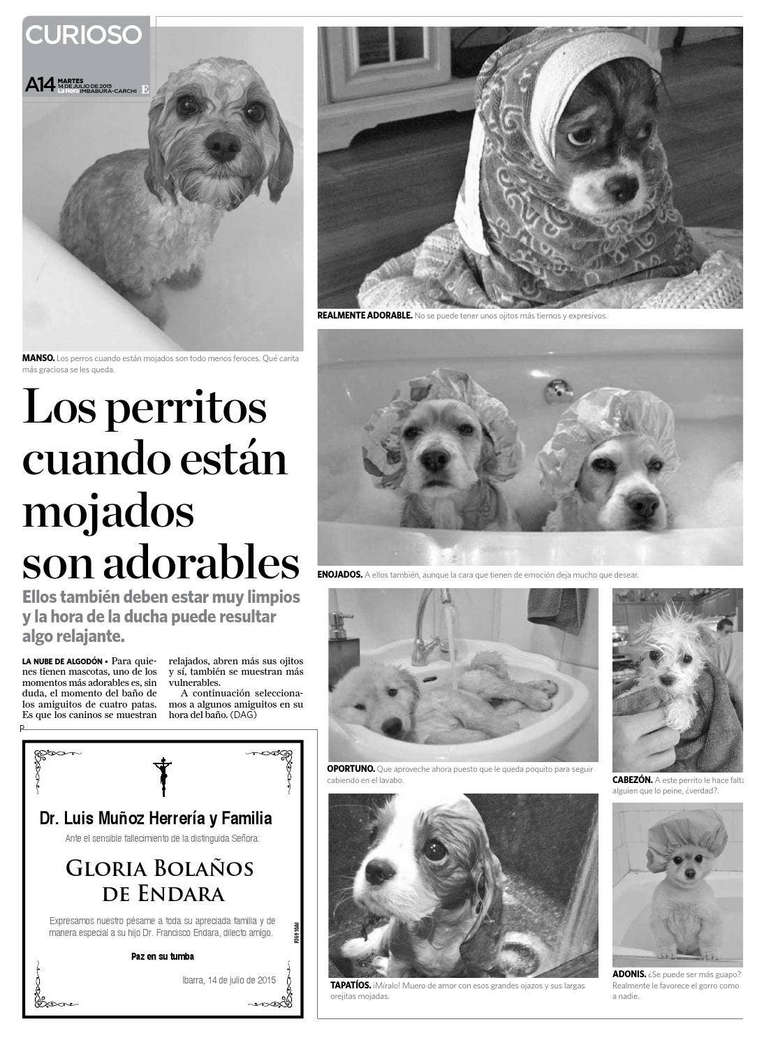 Quién es Laila Roth, la comediante argentina que la rompe en su gira en  Europa? - Ohlalá, image size:1084x1486