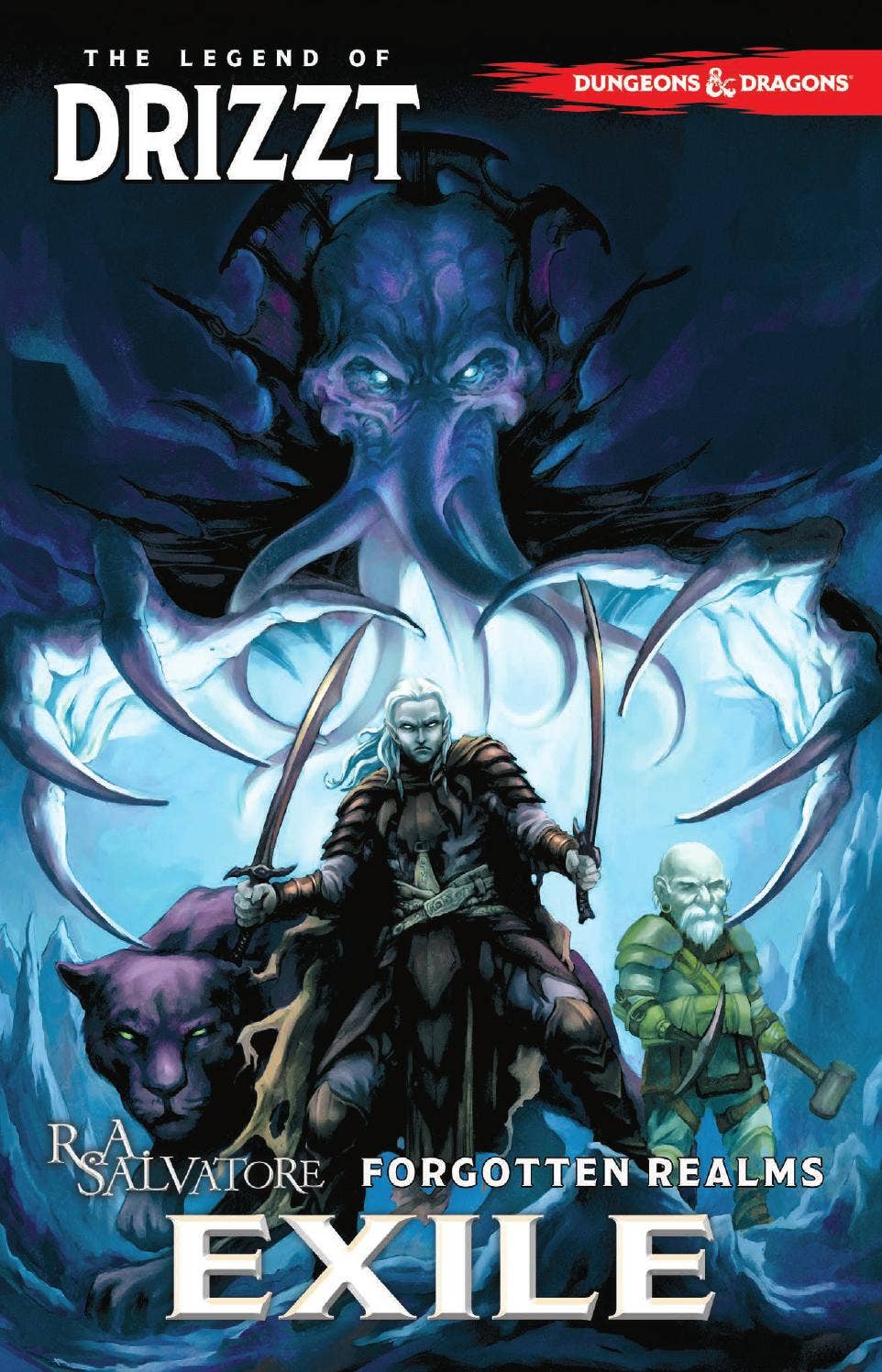 Dungeons & Dragons: The Legend of Drizzt, Vol. 2: Exile by IDW