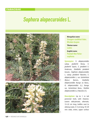Page 206