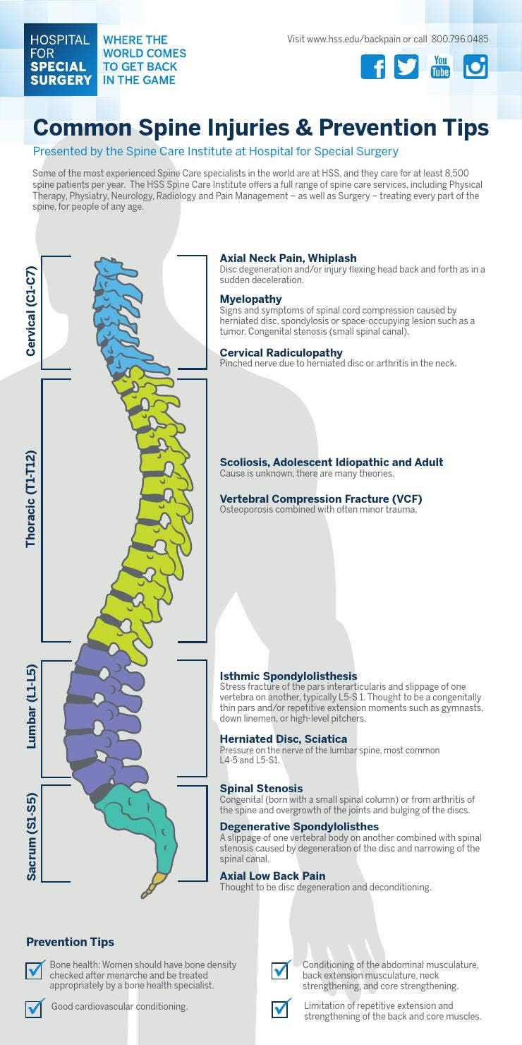 脊椎脊髄病学 = PRINCIPLES OF SPINAL DISORDERS 978-3-540-69091-7
