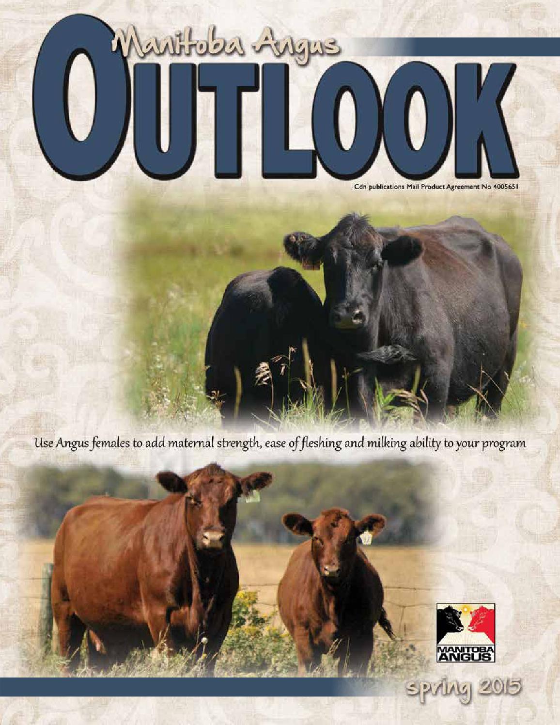 Mb angus outlook may 15 by Charolais Banner Issuu