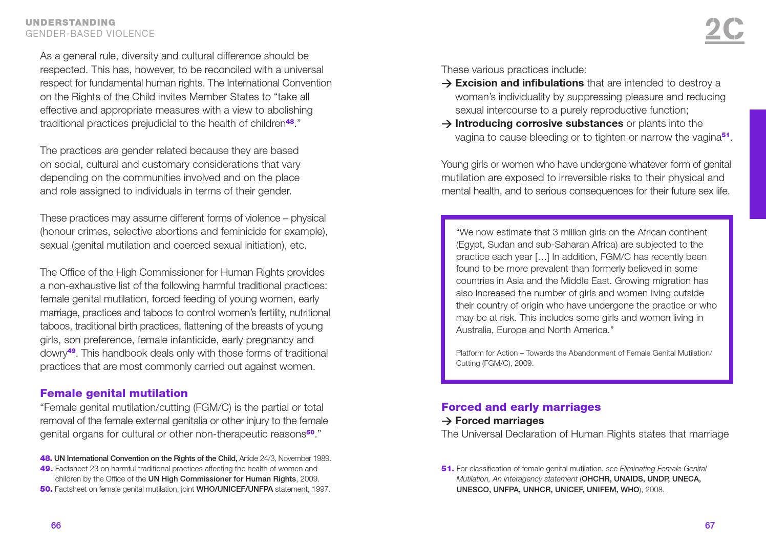Guide gender based violence prevention and reponse : A methodological ...