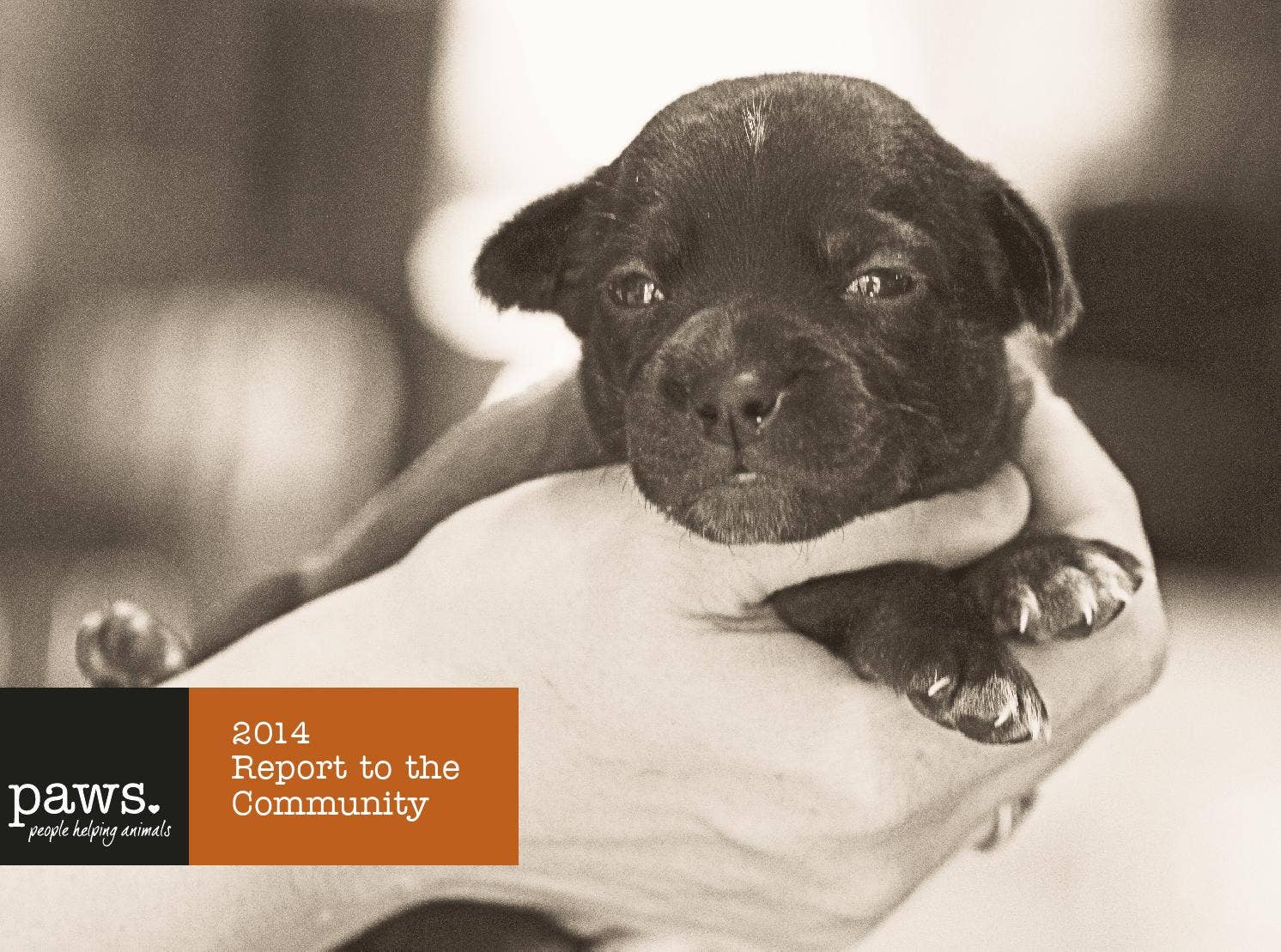 Paws Report PAWS 2014 annual report by PAWS - Issuu