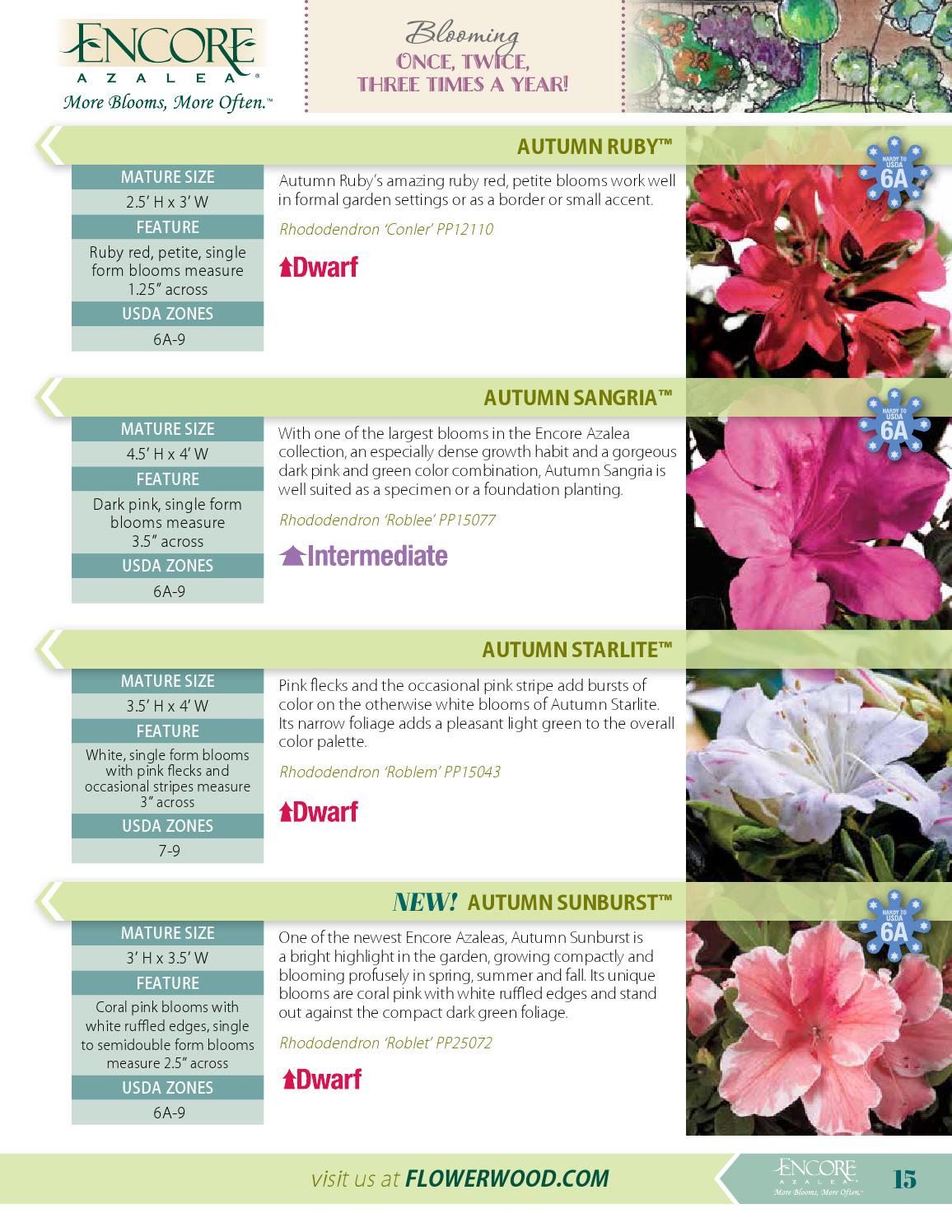 Flowerwood Nursery Catalog 2015 / 2016 by Plant Development Services