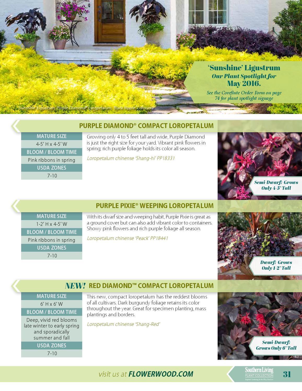 Flowerwood Nursery Catalog 2015 / 2016 by Plant Development Services