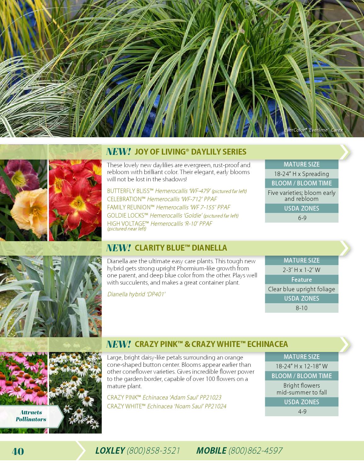 Flowerwood Nursery Catalog 2015 / 2016 by Plant Development Services