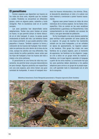Page 197