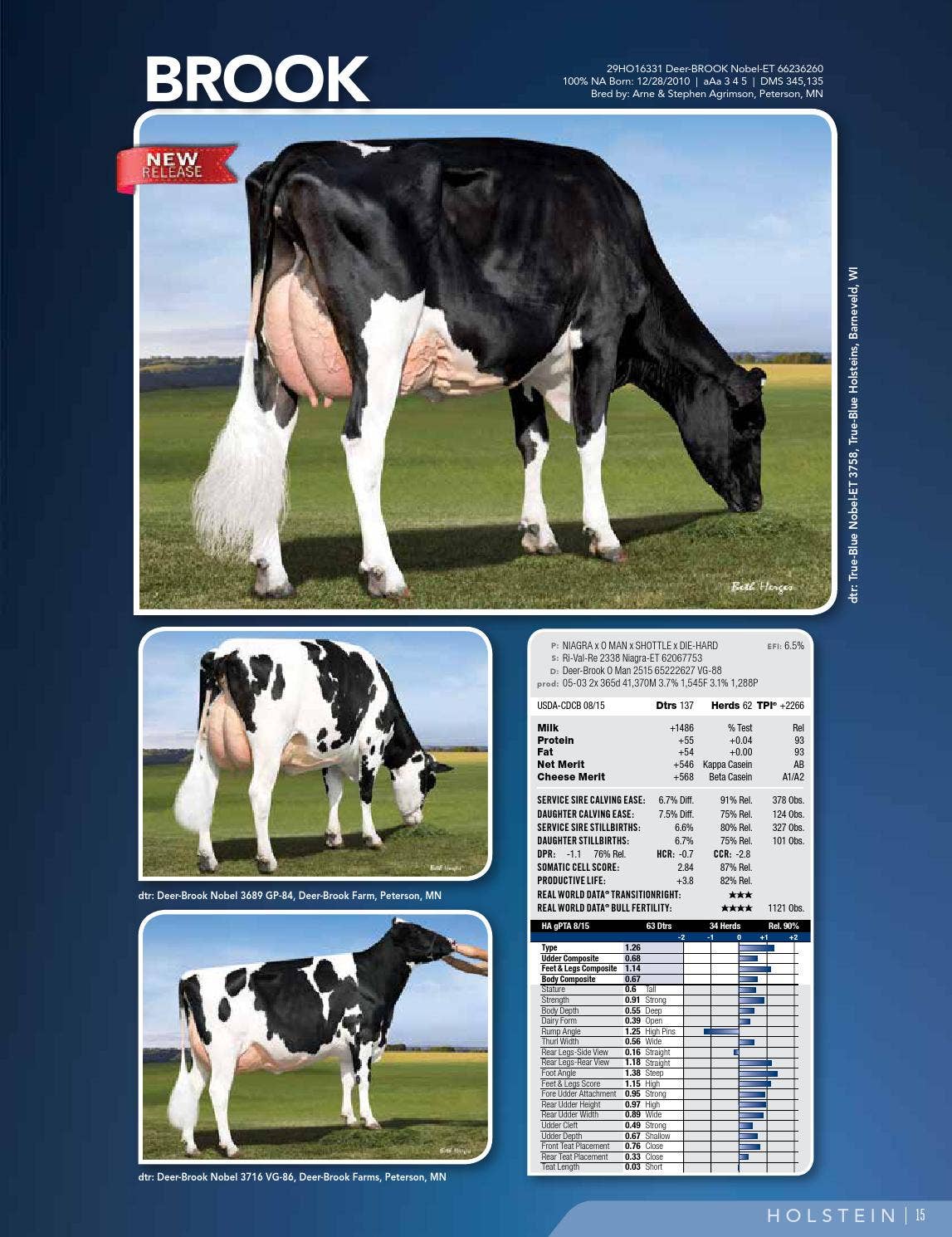 ABS Dairy Directory Fall 2015 by ABS Global, Inc. Issuu