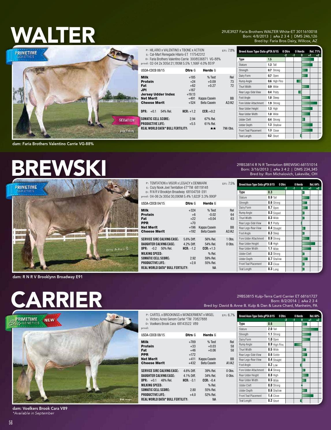 ABS Dairy Directory Fall 2015 by ABS Global, Inc. Issuu