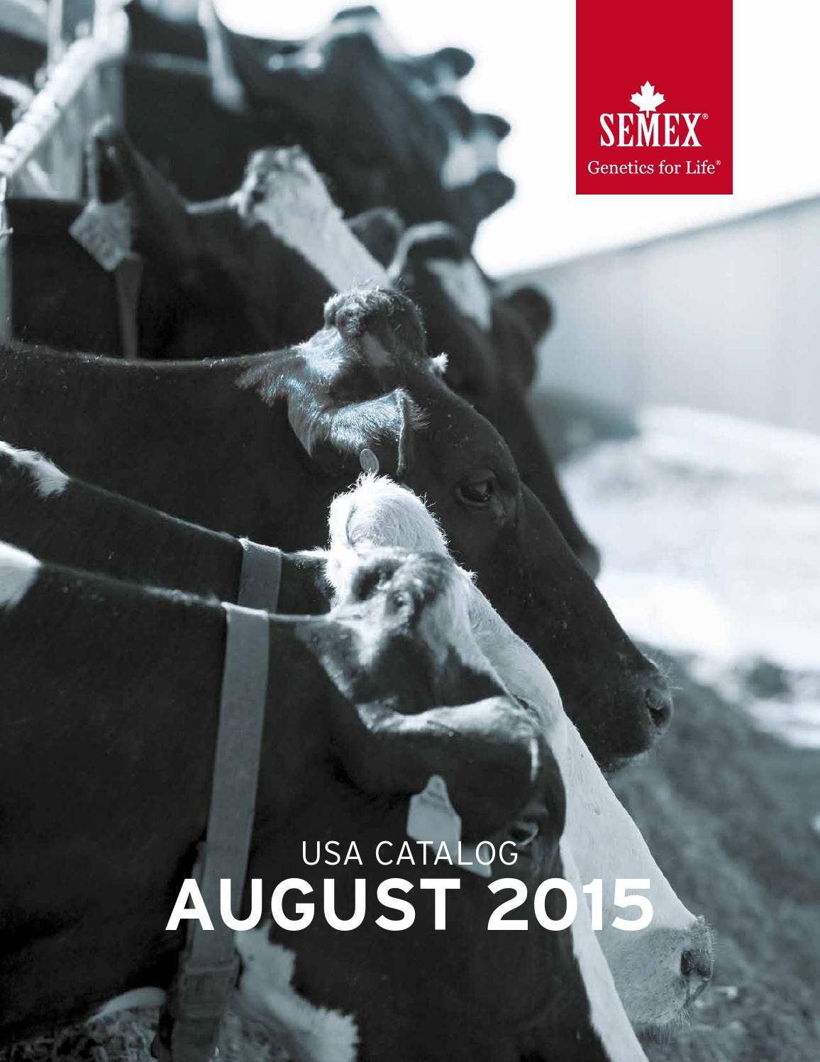 Semex August 2015 USA Holstein Catalog by Semex Issuu