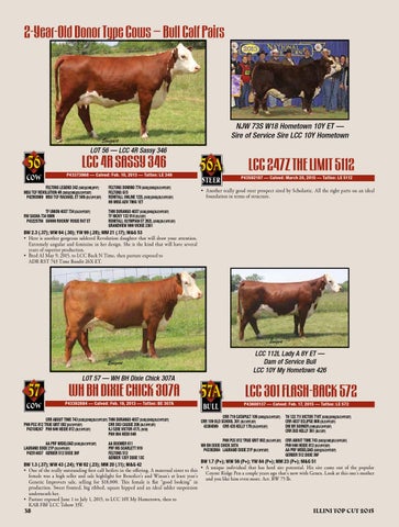 Illini Top Cut 2015 by American Hereford Association - Issuu