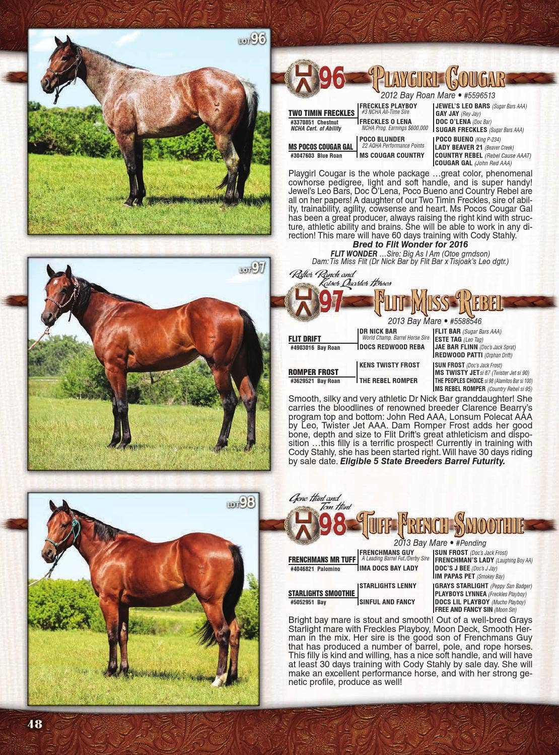 Open Box Rafter Ranch 2015 Performance Quarter Horse Sale by