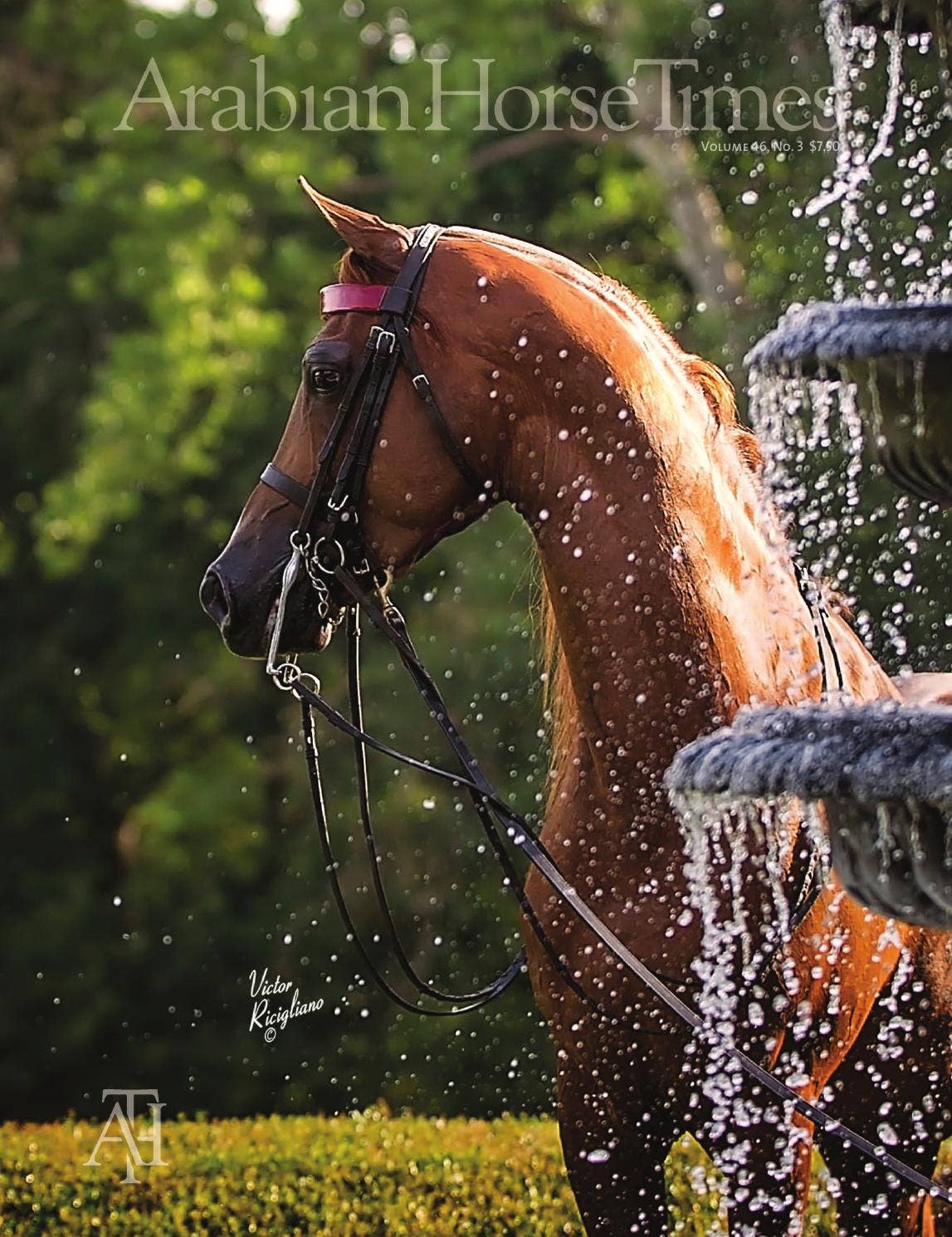Arabian Horse Times - Vol 46 No 3 by Arabian Horse Times - Issuu