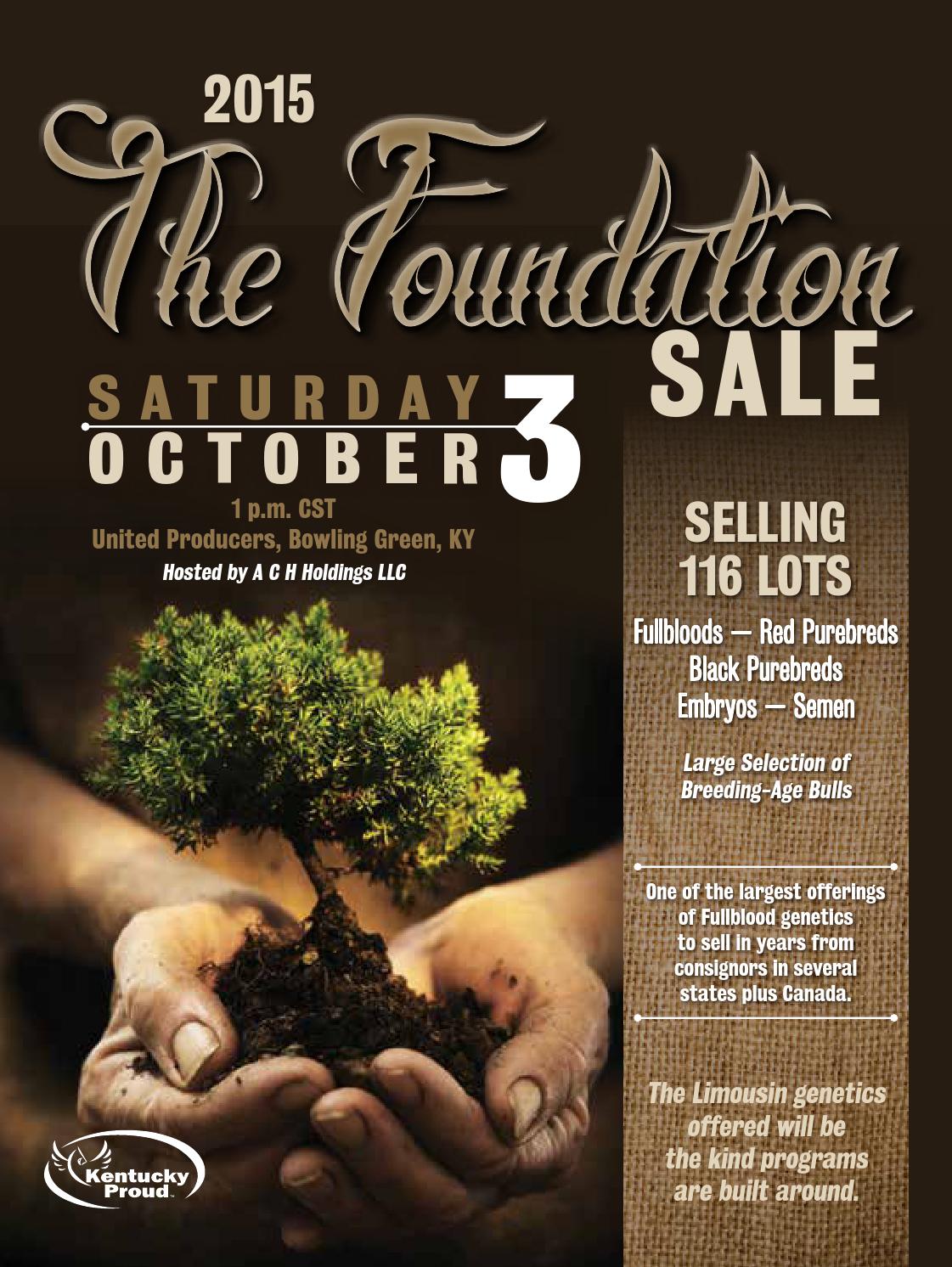 2015 Foundation Sale Catalog by Precision Marketing Issuu