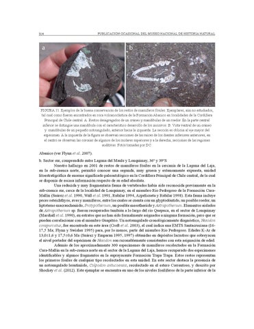 Page 314