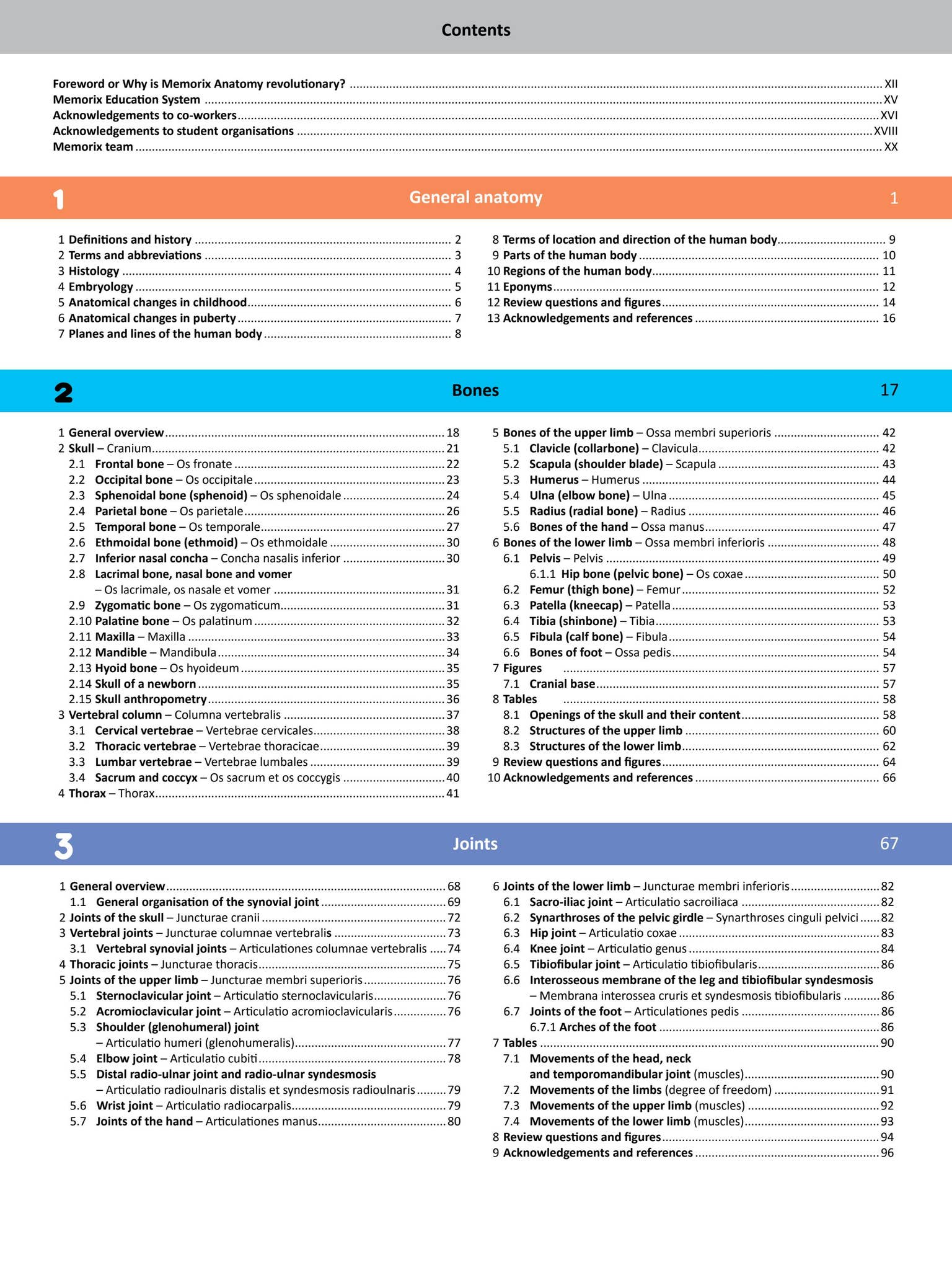 Memorix Anatomy - sample (134 pages) by Radovan Hudak - Issuu