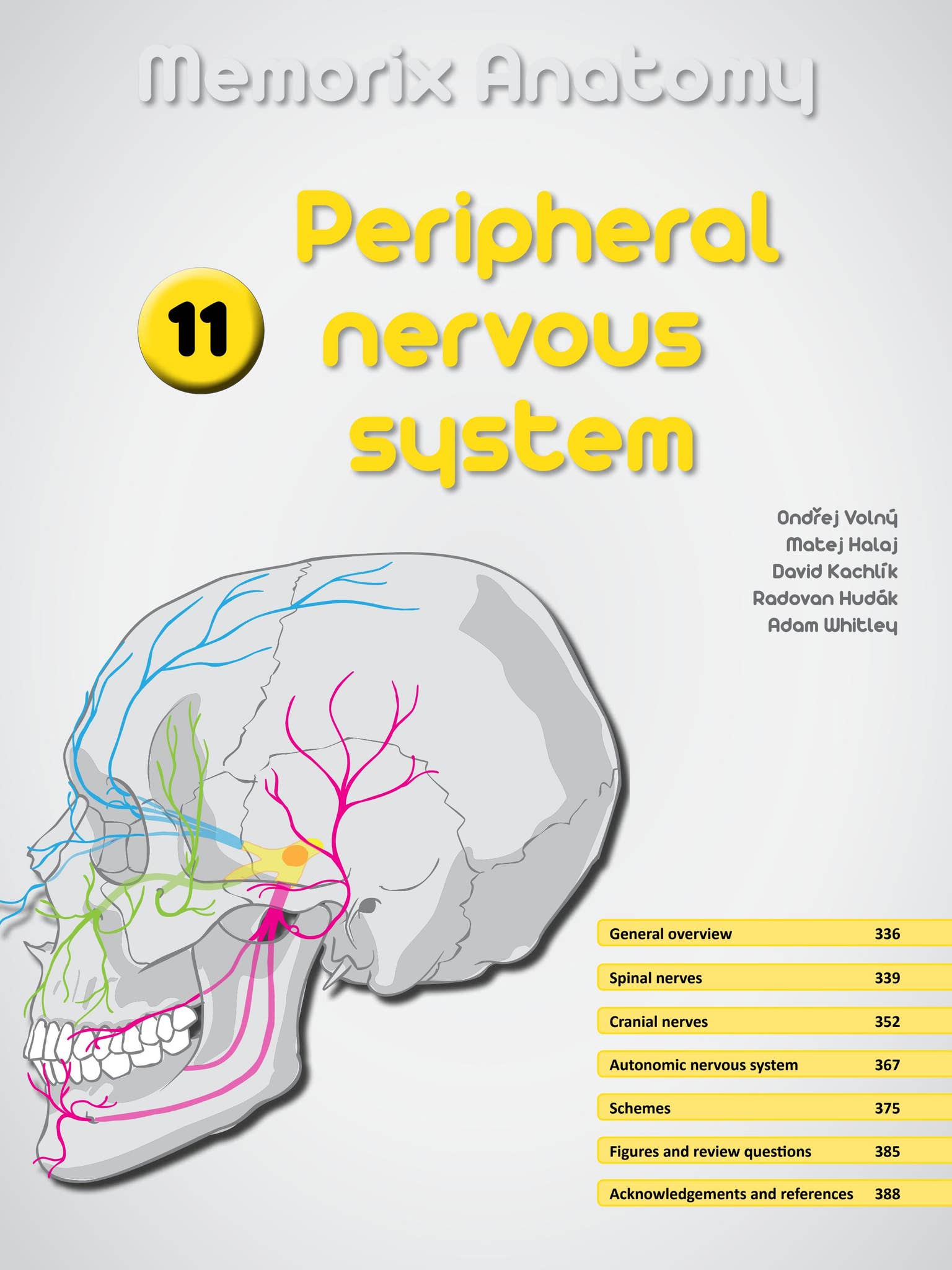健康・医学 MEMORIX ANATOMY 2nd edition Memorix Anatomy - sample (134 pages) by Radovan Hudak - Issuu